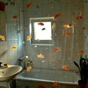 Meet your Posher, Nya